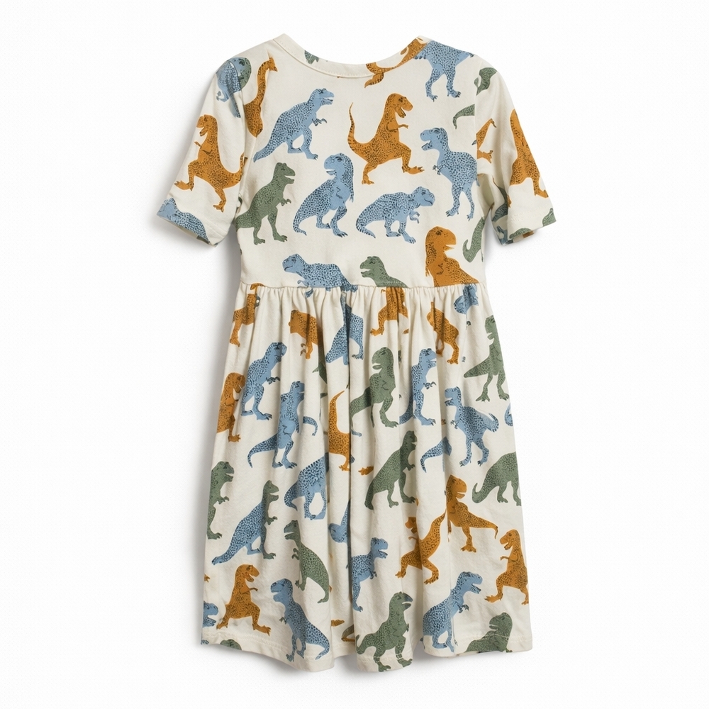 Pink Chicken Girls Dinosaur Print Dress Size 4 - Picture 2 of 2
